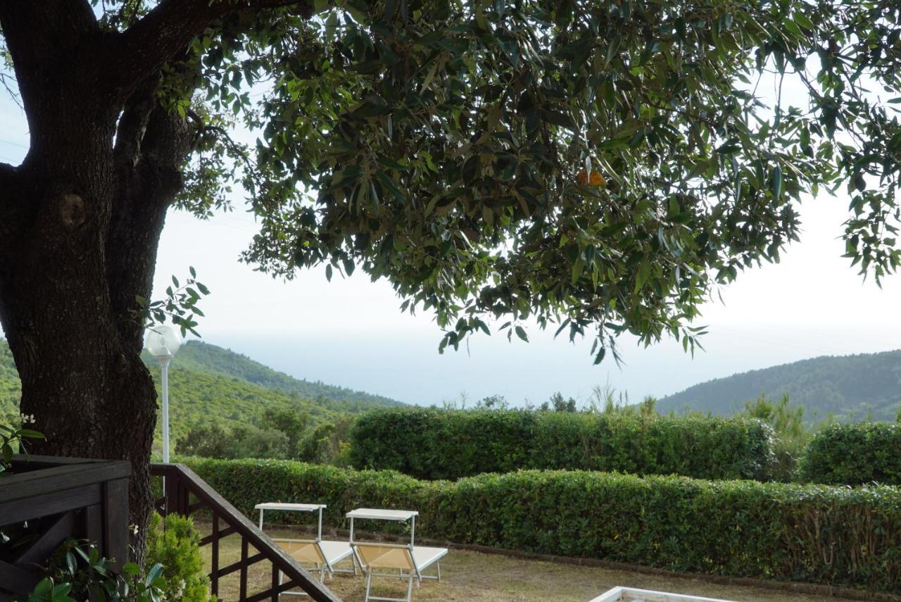 B&B Il Piccolo Paradiso Montenero  Eksteriør billede